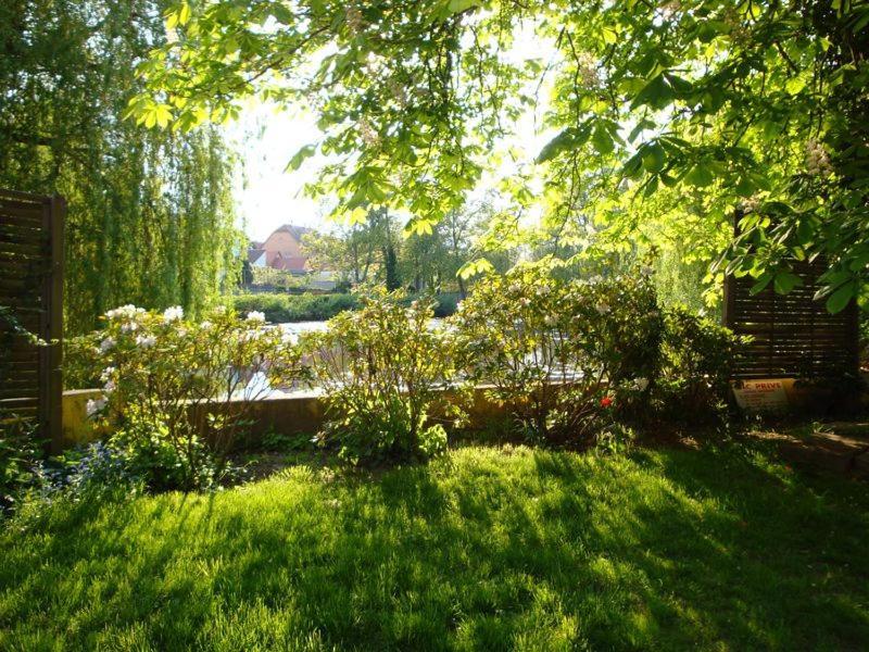 Maison D'Hotes Alsace - 4 Chambres D'Hote - Private Gaestezimmer Elsass - Private Guest Rooms Alsace Bischwiller Buitenkant foto